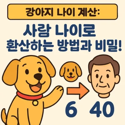 강아지나이계산사람나로환산하는방법과비밀!-썸네일이미지