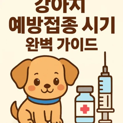 강아지예방접종시기-썸네일이미지