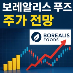 보레알리스푸즈주가전망-썸네일이미지