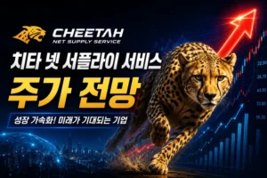 치타넷서플라이서비스주가전망-썸네일이미지