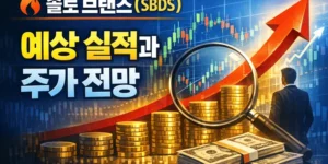 솔로브랜즈(SBDS)예상실적과주가전망-썸네일이미지