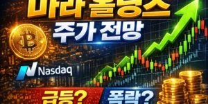마라홀딩스주가전망-썸네일이미지